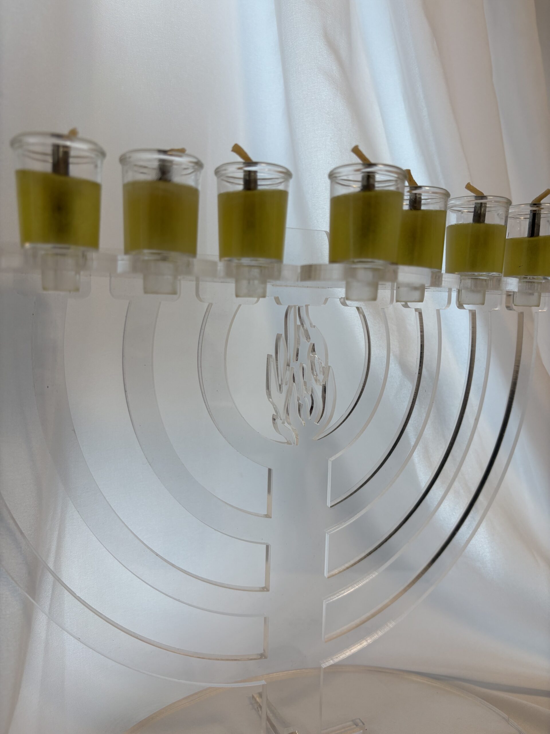 חנוכיה האש שלי – תמונה 2